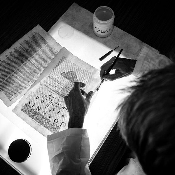01G_MIG2822